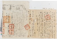 藏品(道光元年郭鑰、郭皎向蔡順發號立賣杜絕盡根契（附契尾）)的圖片